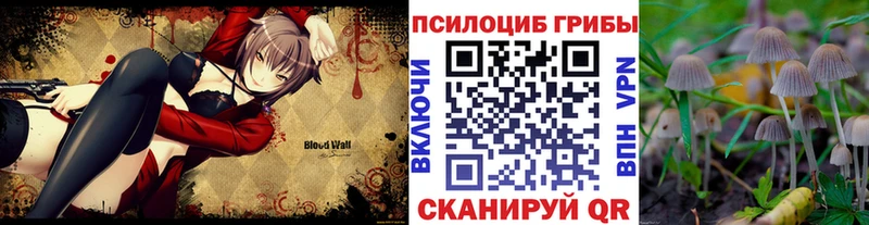 Псилоцибиновые грибы мицелий  Десногорск 